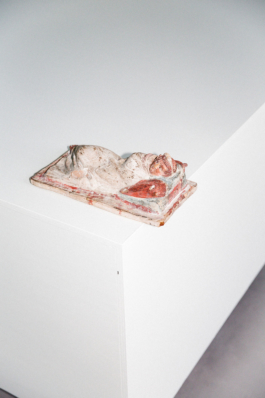 Photography Toska Museum August Kestner bureaubordeaux.com